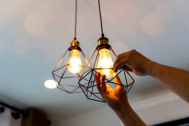 Best Electrical System Inspection  in Oglesby, IL