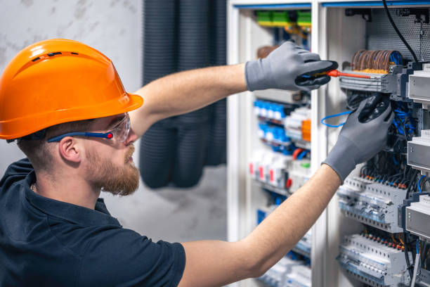 Best Electric Panel Repair  in Oglesby, IL